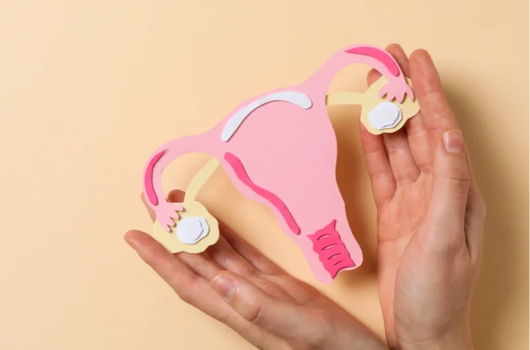 Imagem representando um útero